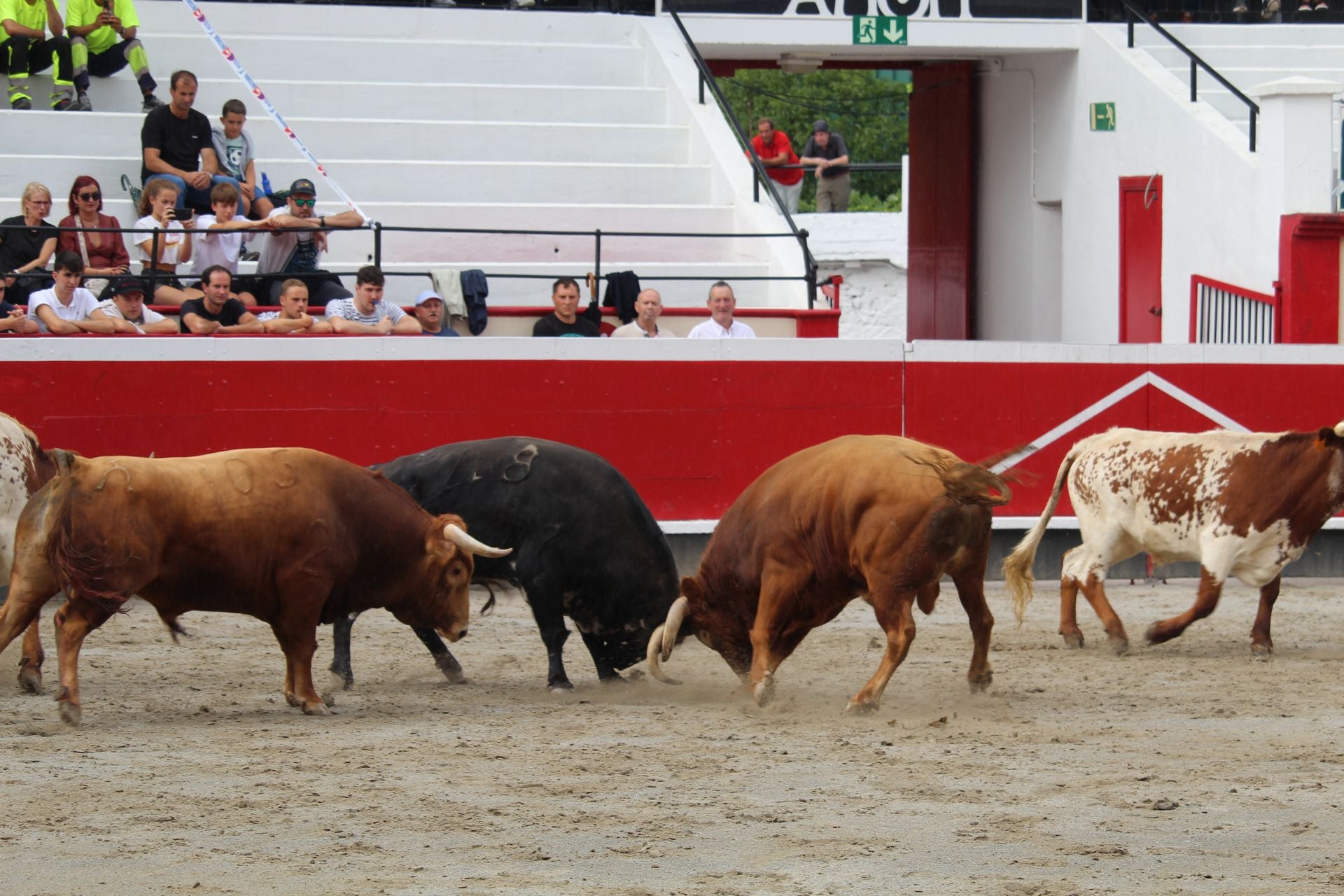 Los toros de la ganadería Vellosino se mostraron bastante revoltosos en la plaza de Azpeitia ayer por la tarde.