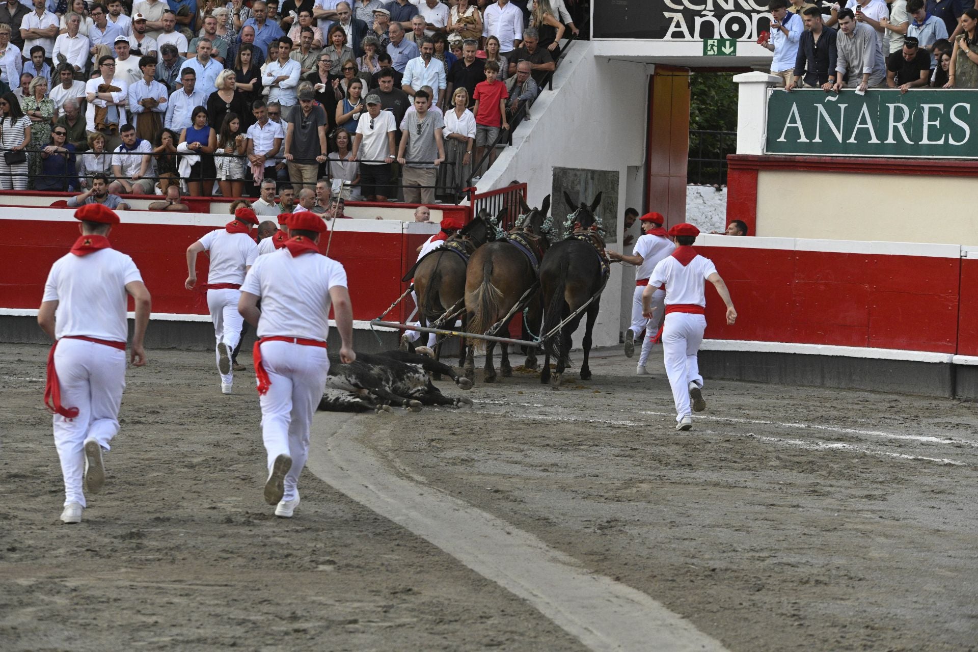 Lleno en Azpeitia para ver los toros