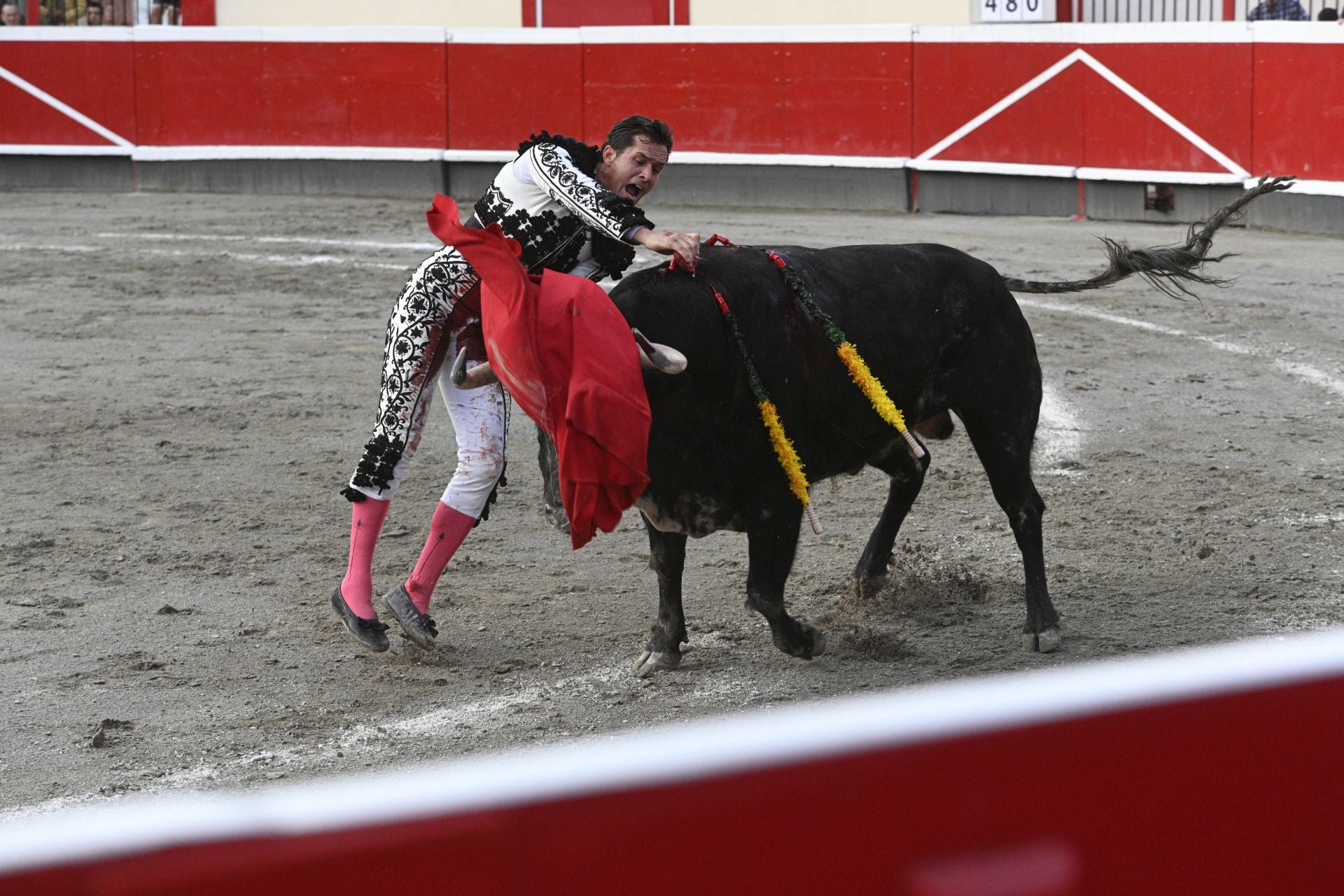 Lleno en Azpeitia para ver los toros