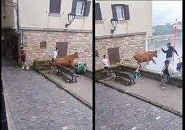 Momento en el que la vaquilla se precipita al agua.