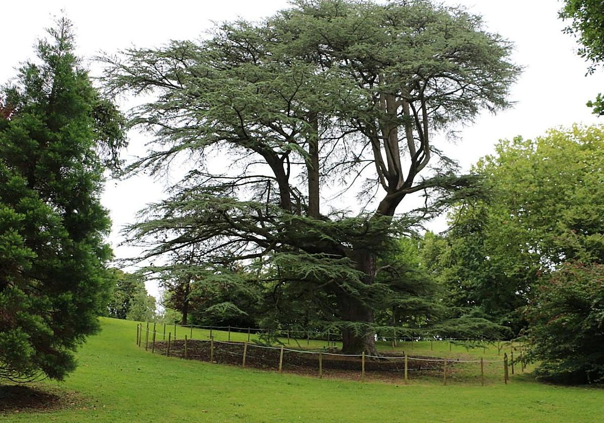 Parkea Bizirik denuncia la «masificación» y «vandalización» de Cristina Enea de Donostia