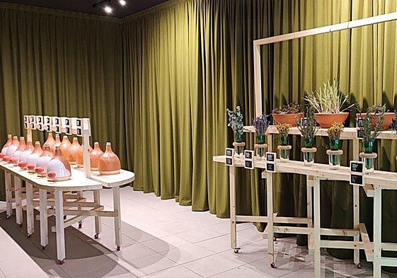 Sagarraren munduarekin lotutako eta naturako beste zenbait lurrinekin esperimentatu daiteke usaimenaren gunean.