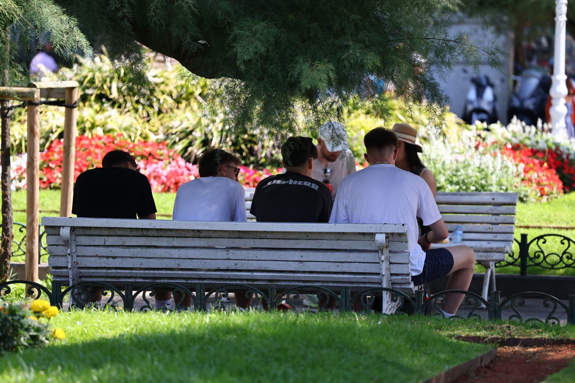 Semana de sol y calor