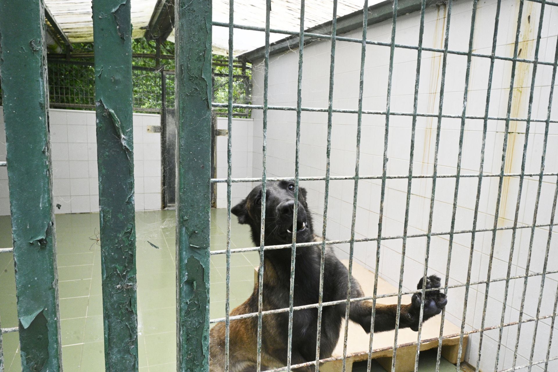 Una protectora llena de colores