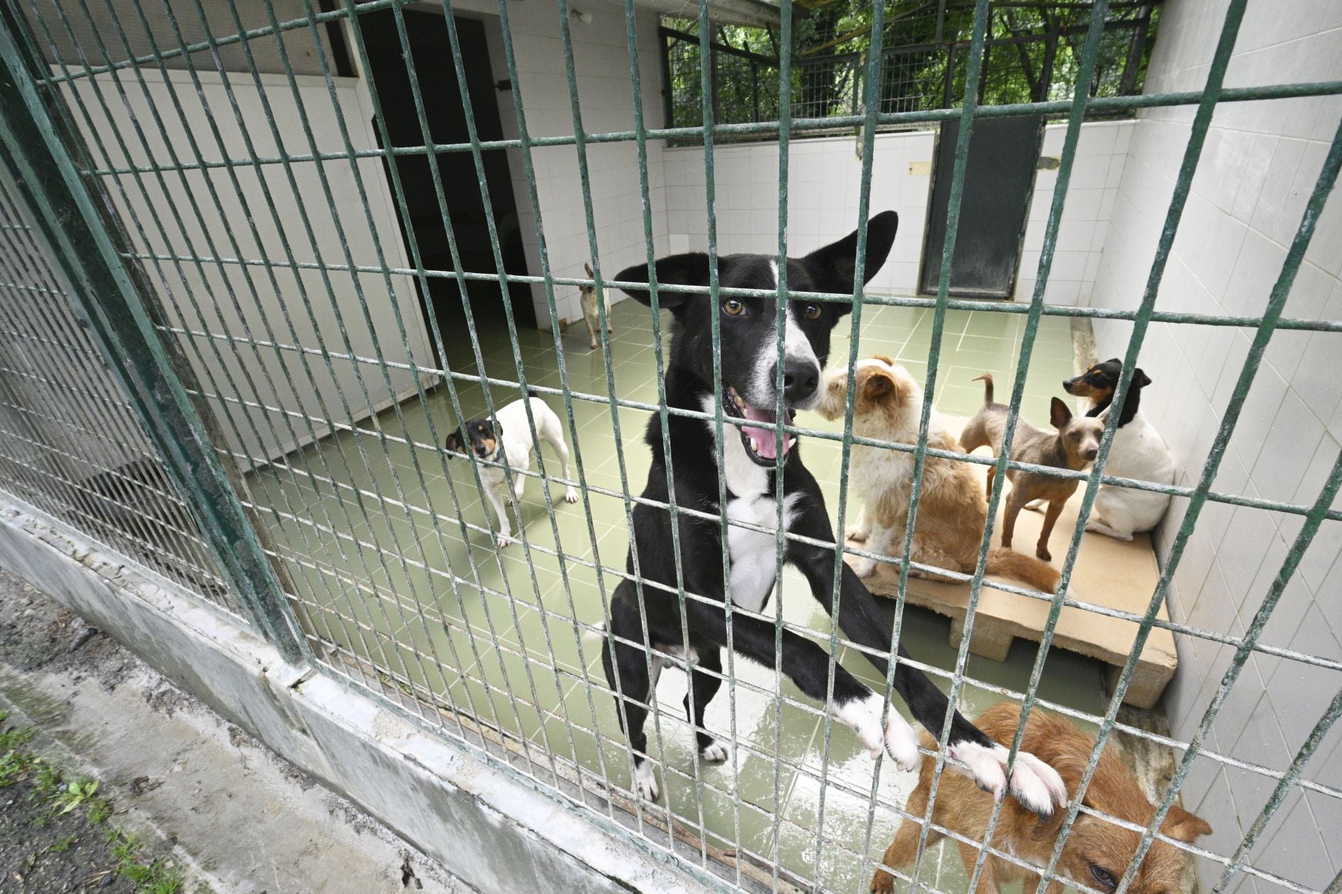 Una protectora llena de colores