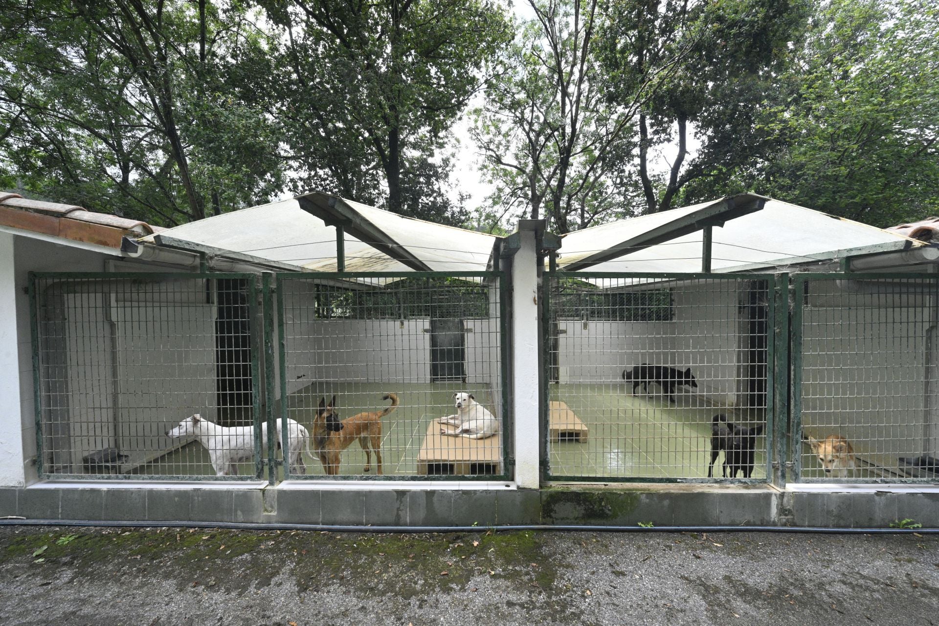 Una protectora llena de colores