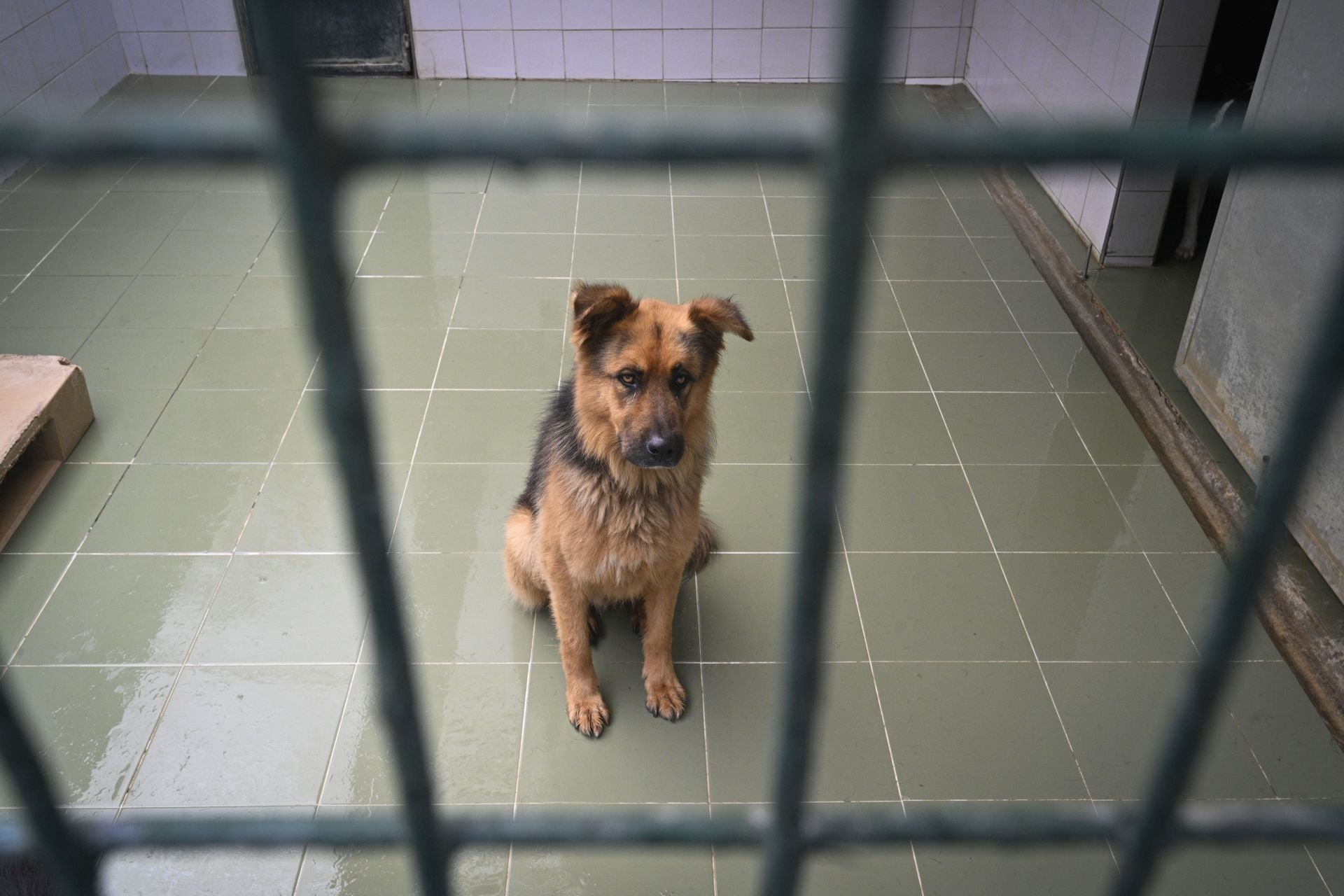 Una protectora llena de colores