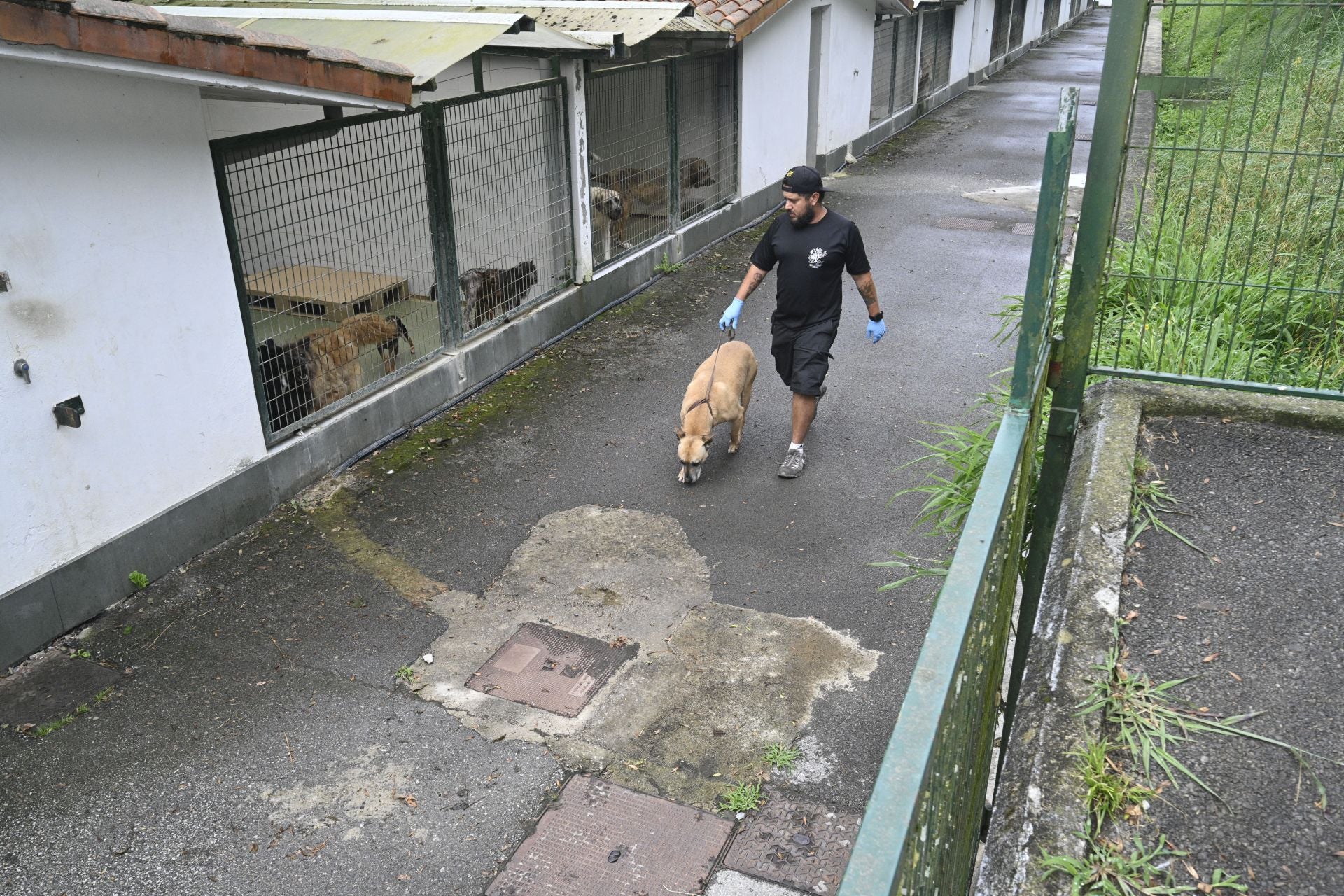 Una protectora llena de colores