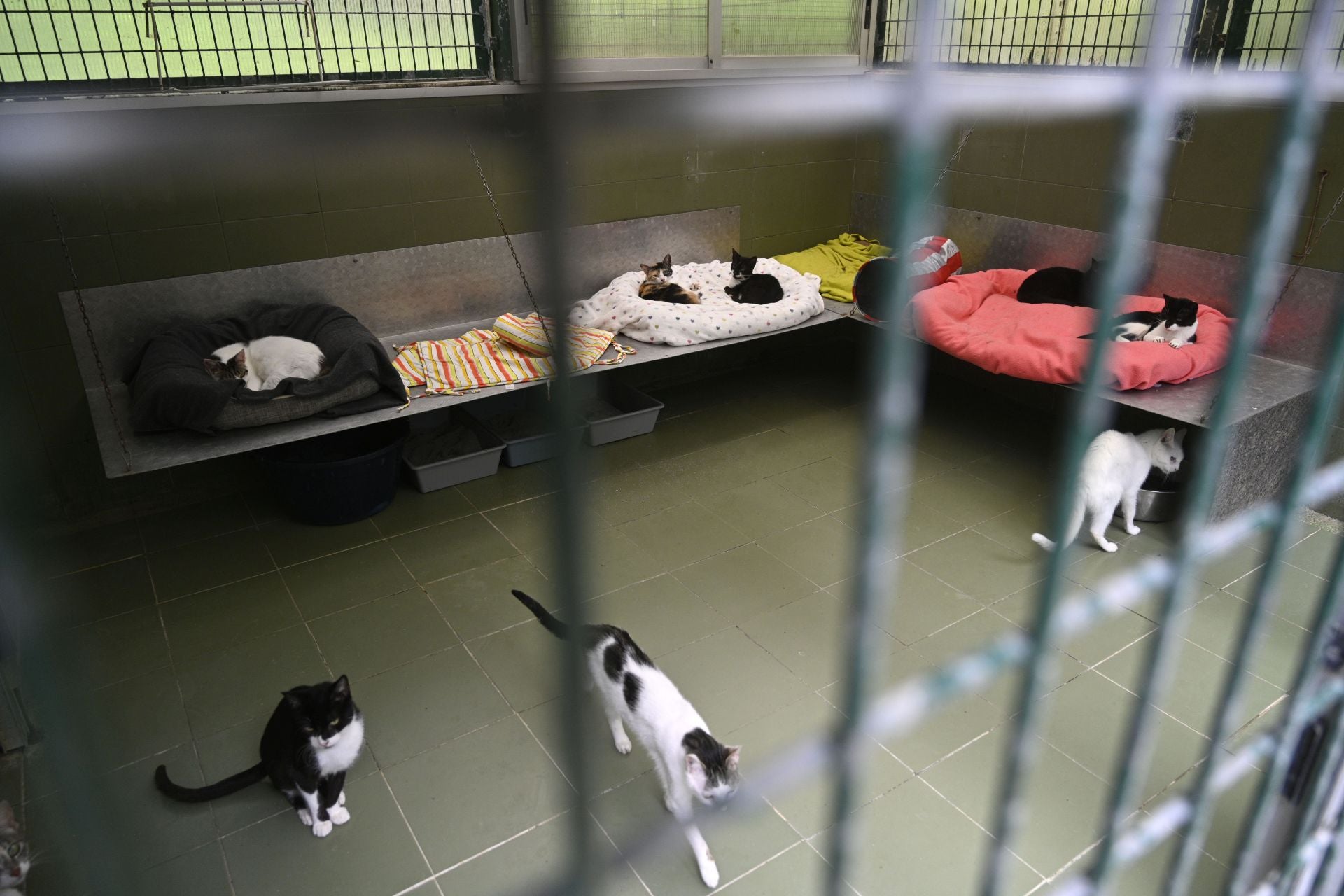 Una protectora llena de colores