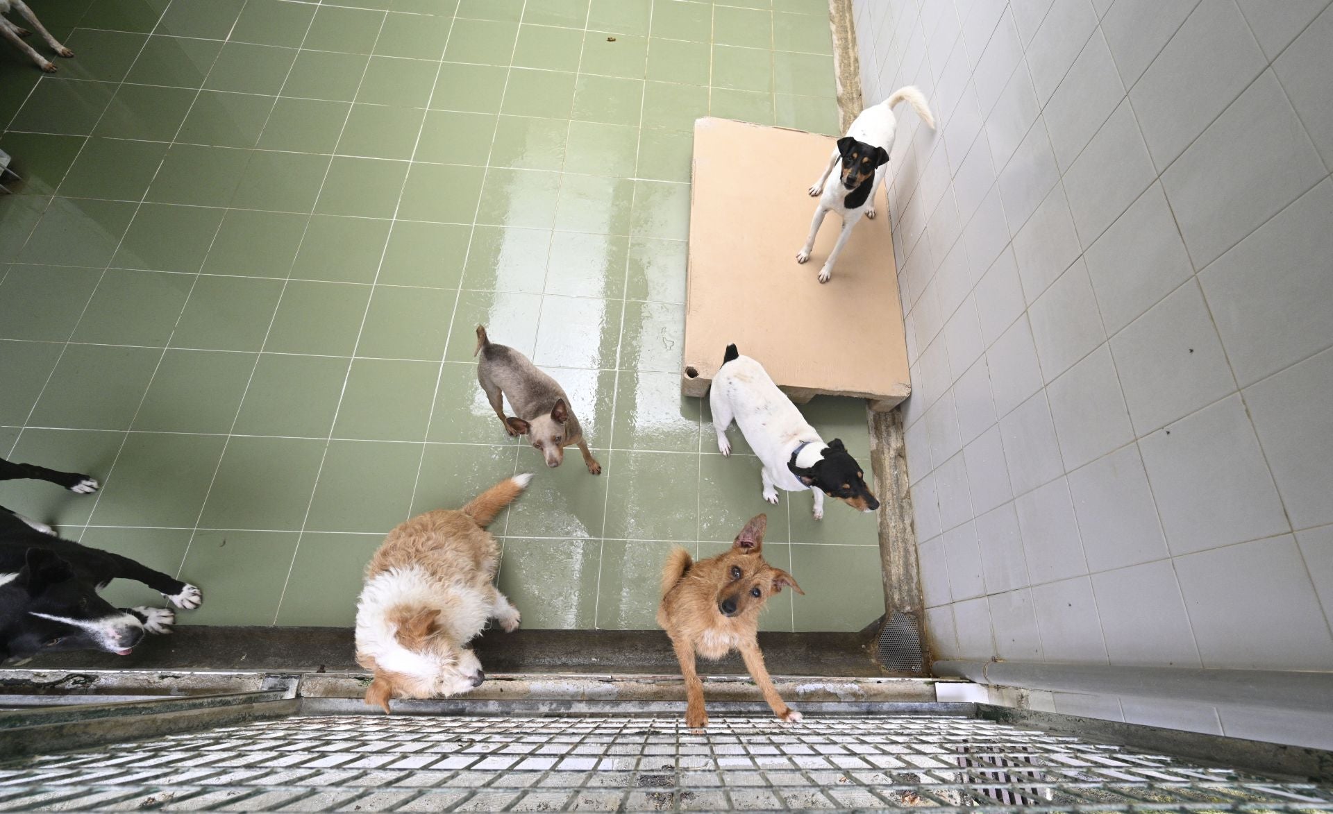 Una protectora llena de colores