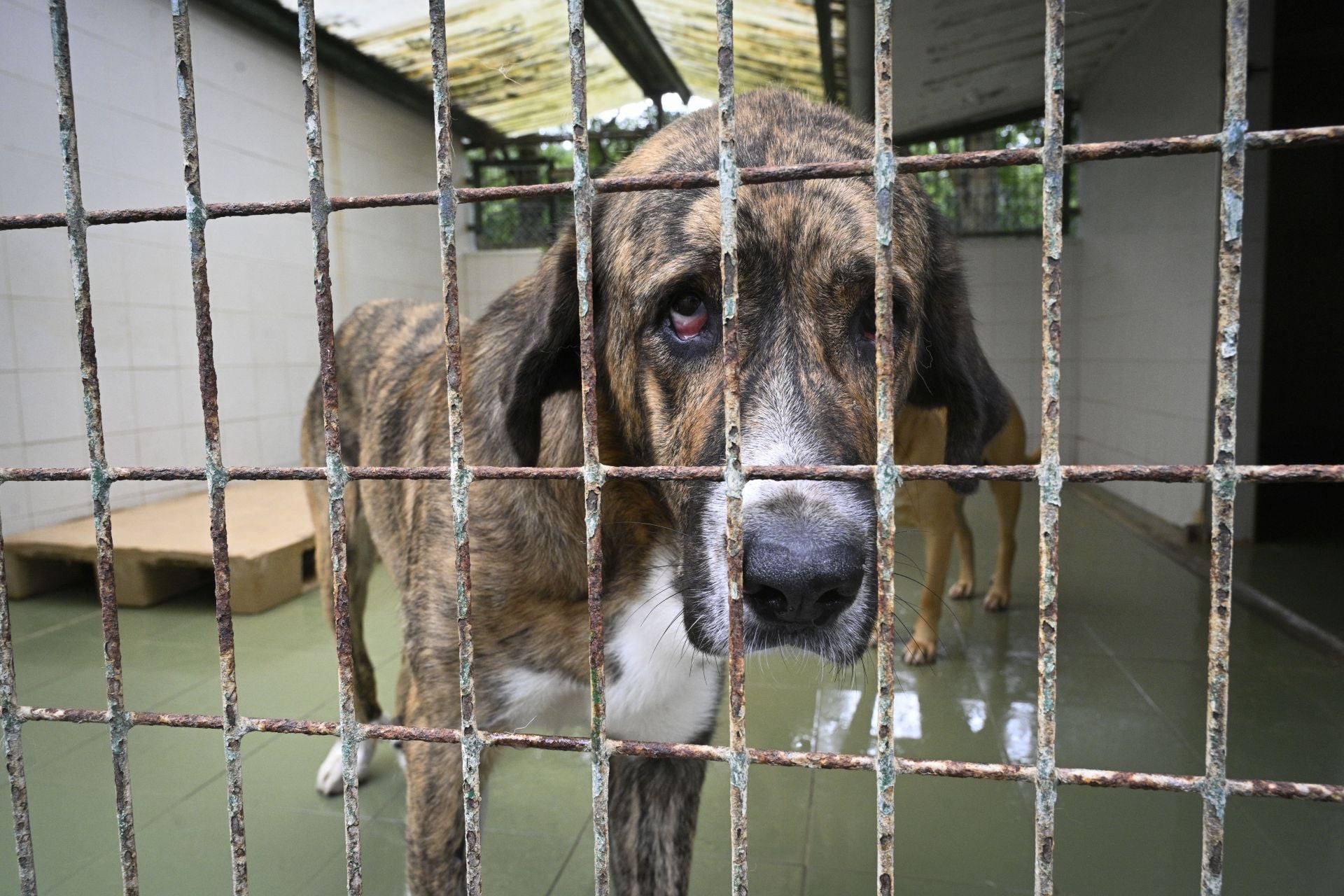 Una protectora llena de colores