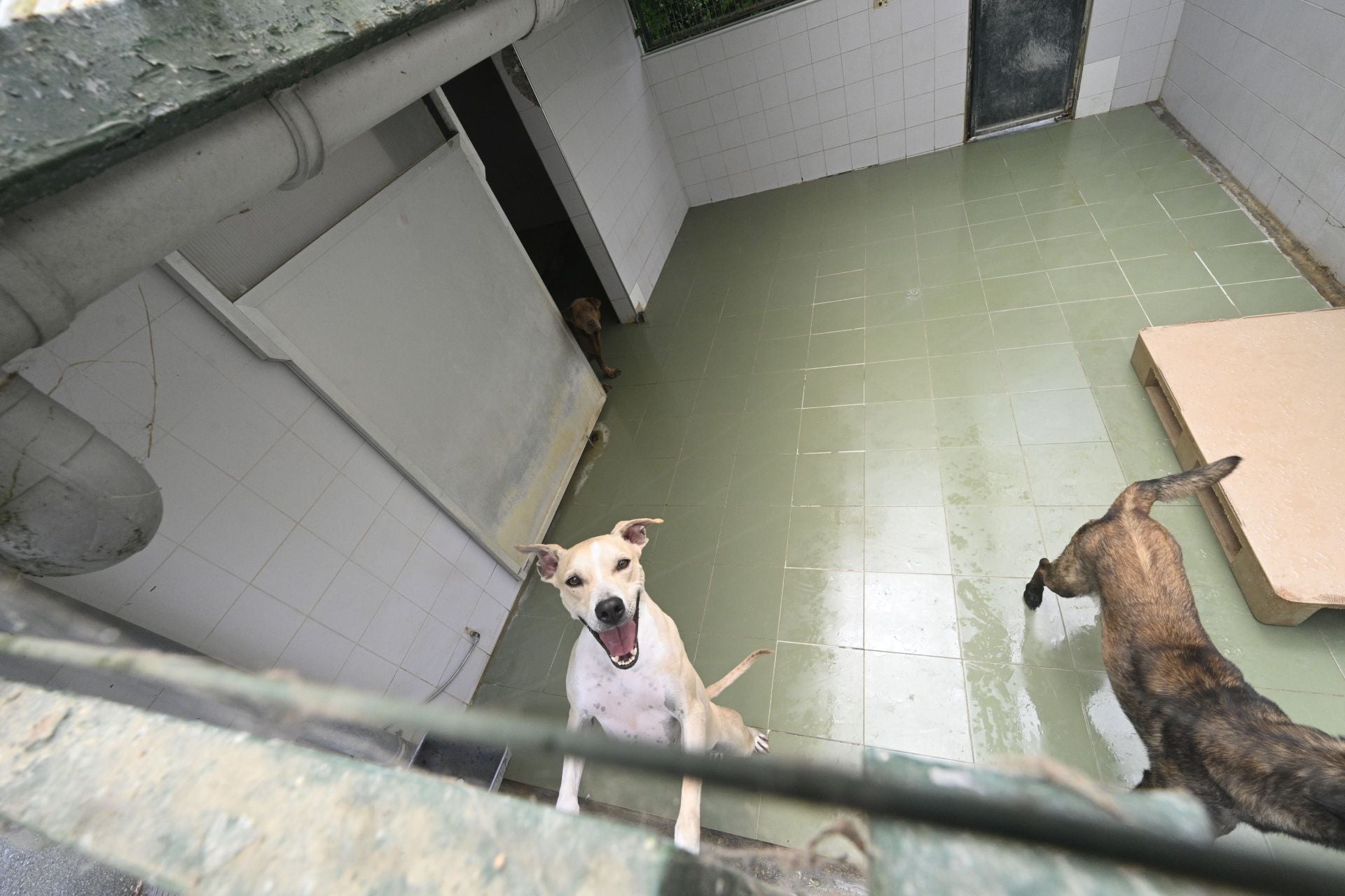 Una protectora llena de colores