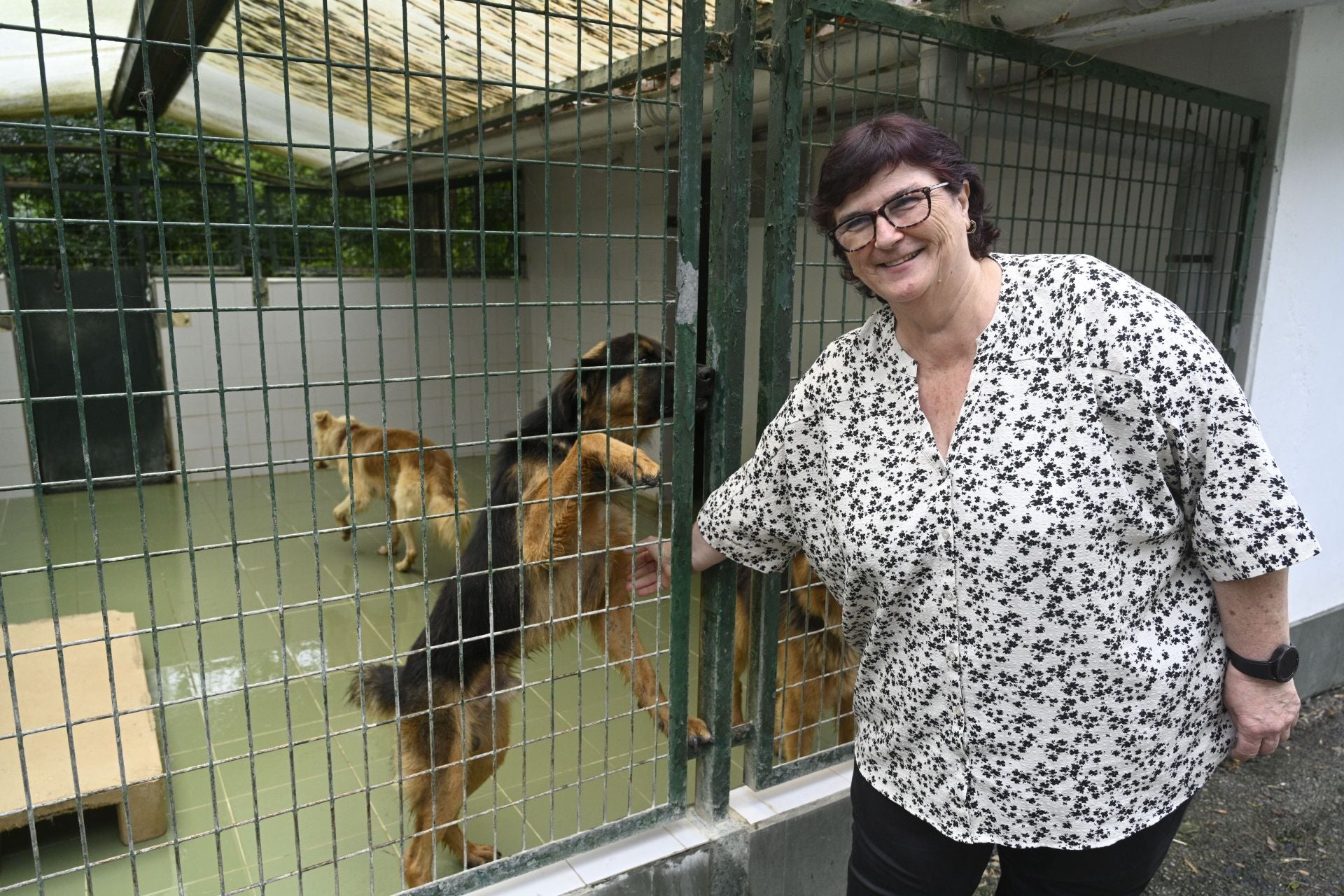 Una protectora llena de colores
