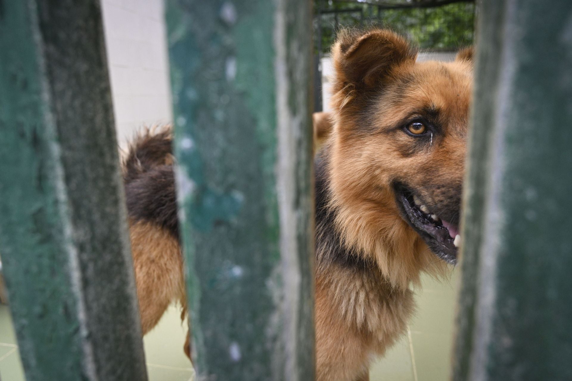 Una protectora llena de colores