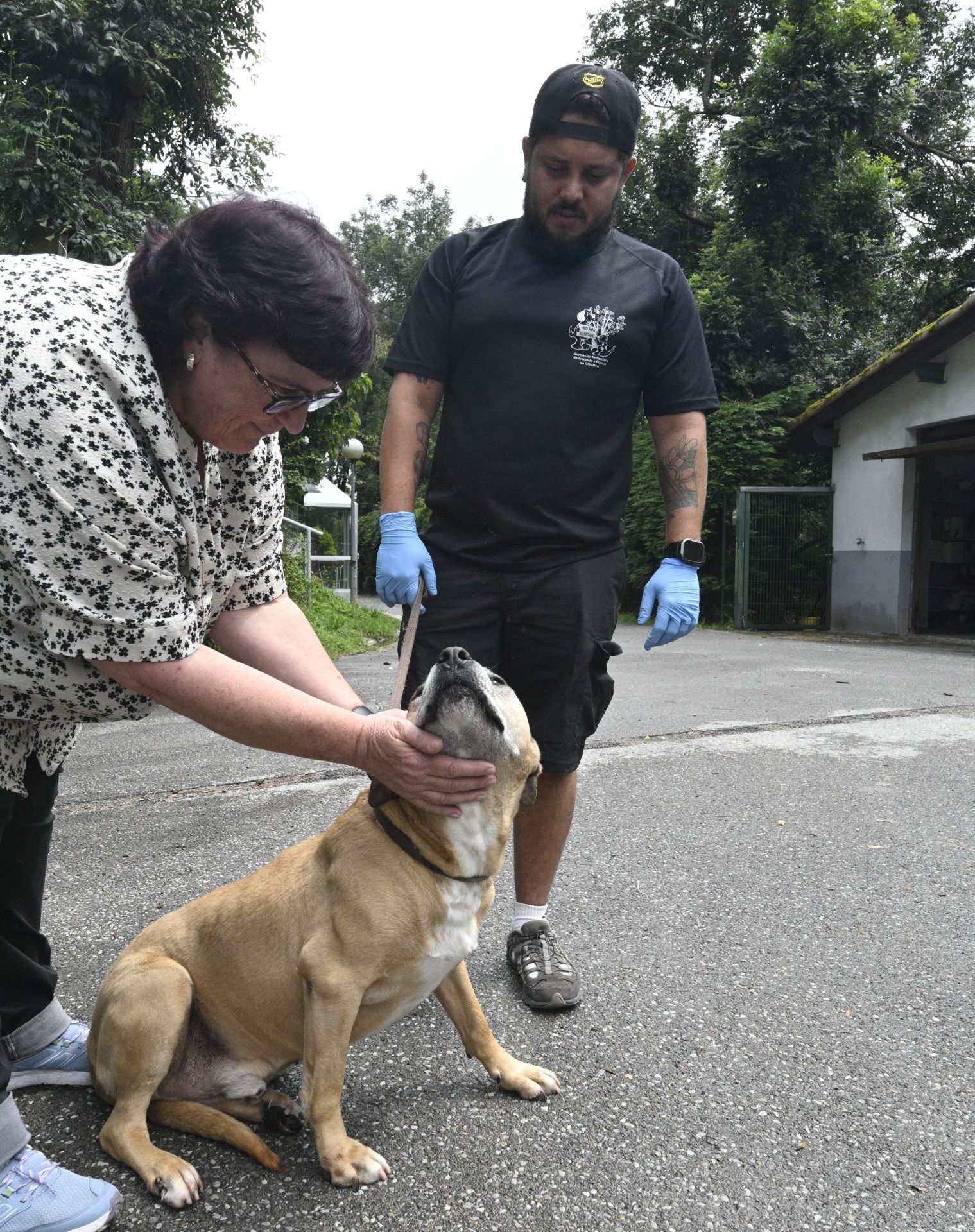 Una protectora llena de colores