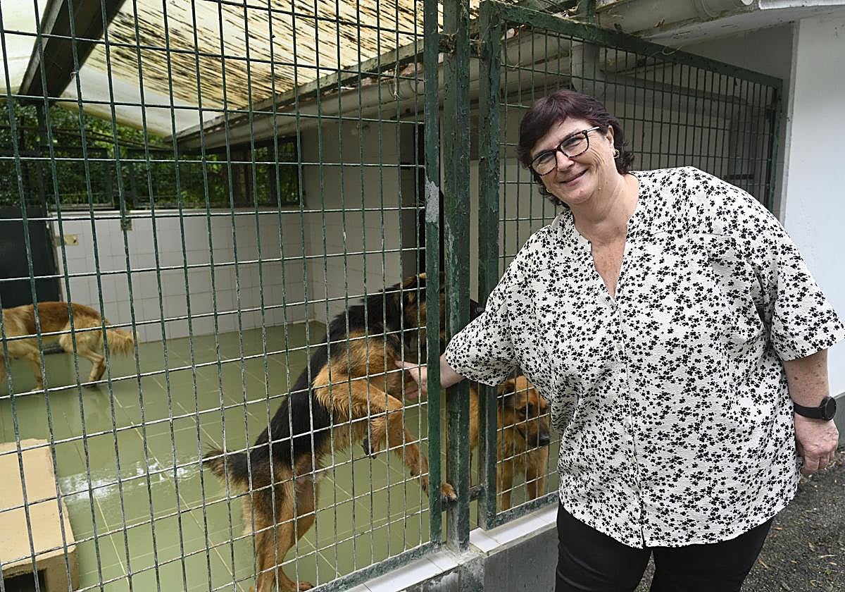 «Cada día intentan abandonar entre tres y cuatro perros»