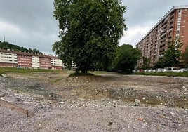 El parque Barandiaran está más cerca de ser una realidad.