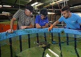 Los expertos del Aquarium observan a una tortuga en una de las piscinas.