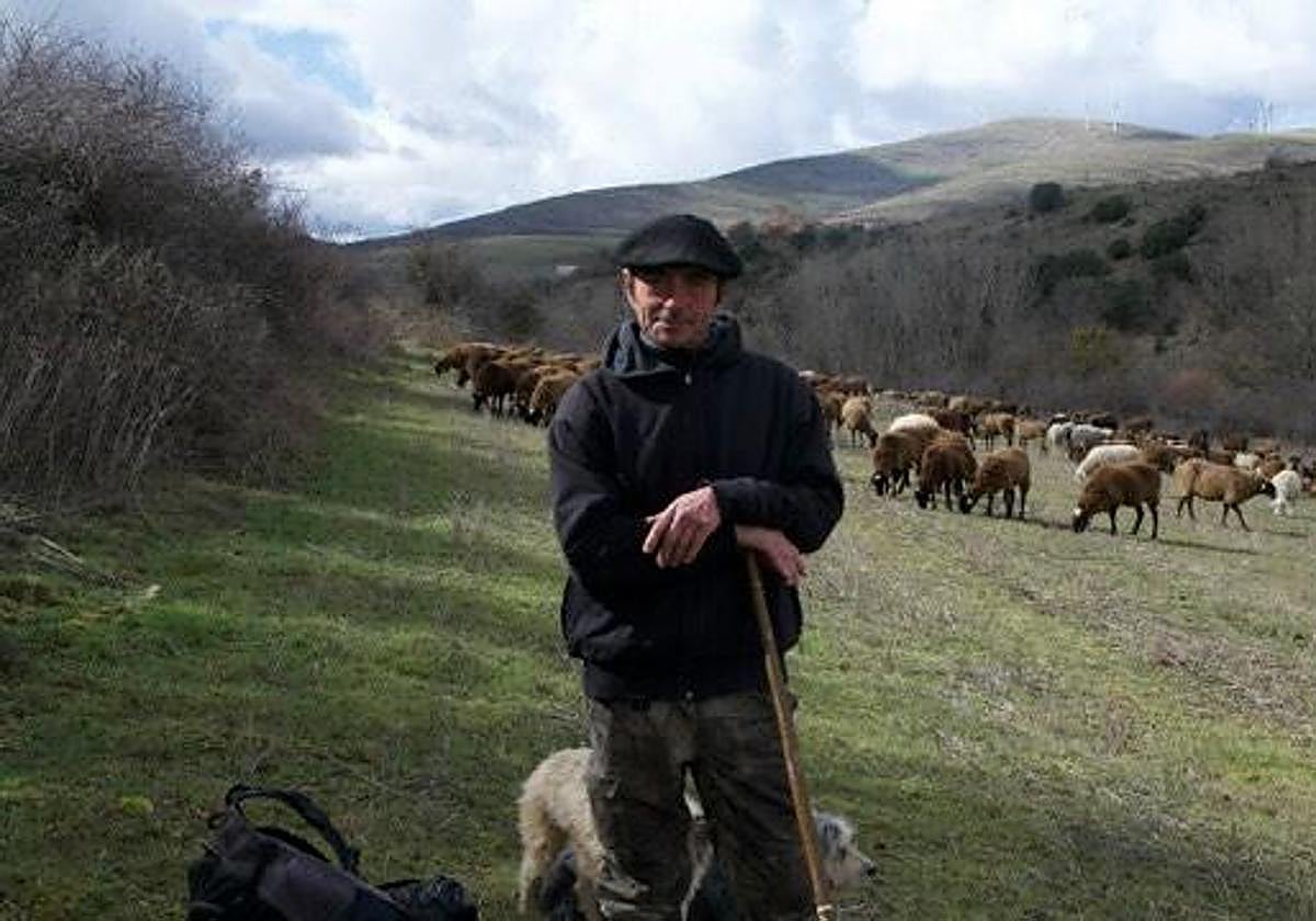 Jon Laskibar, con sus perros y un rebaño de ovejas en una zona de los Pirineos.