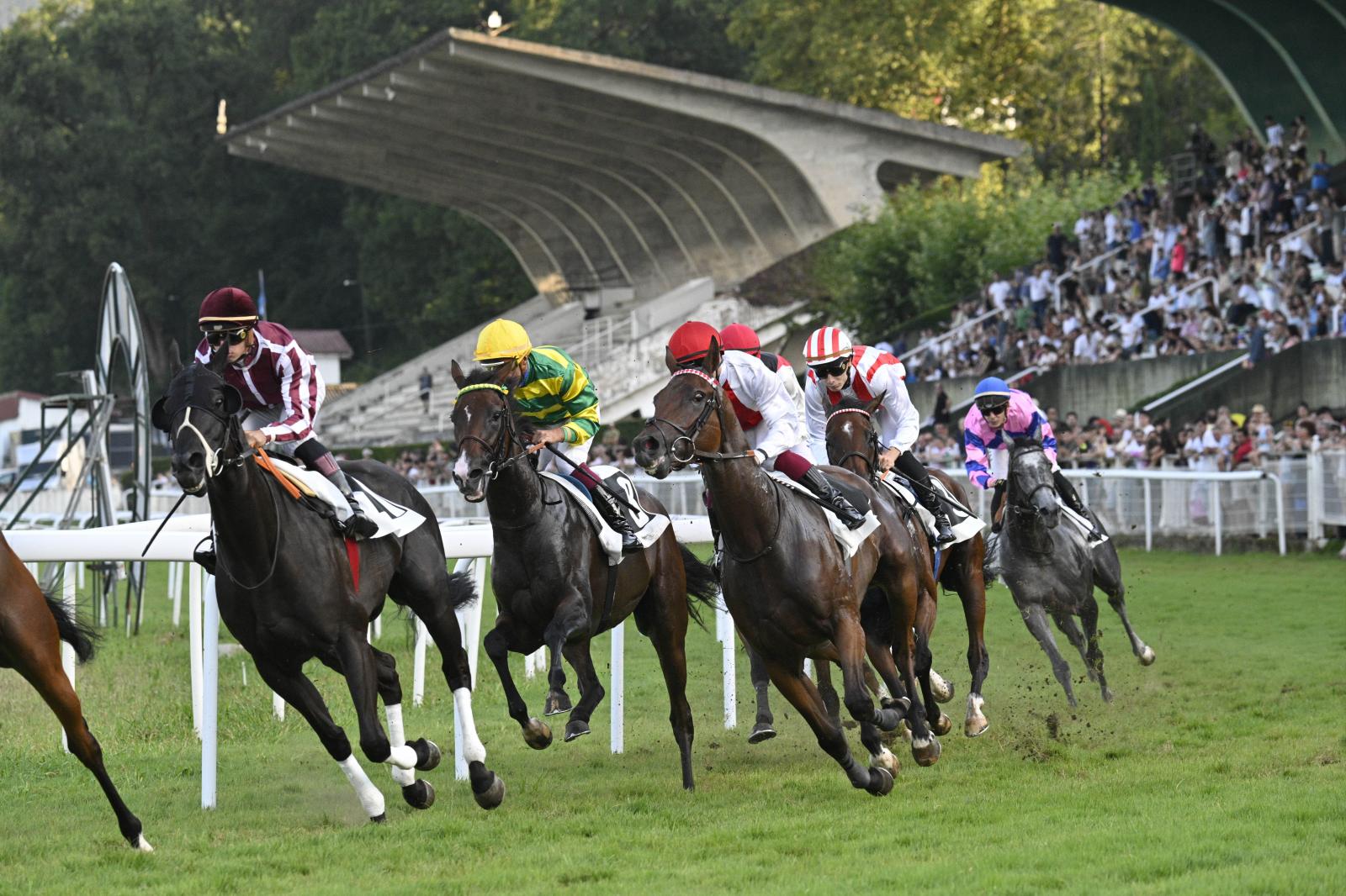Gran jornada de carreras en el hipódromo