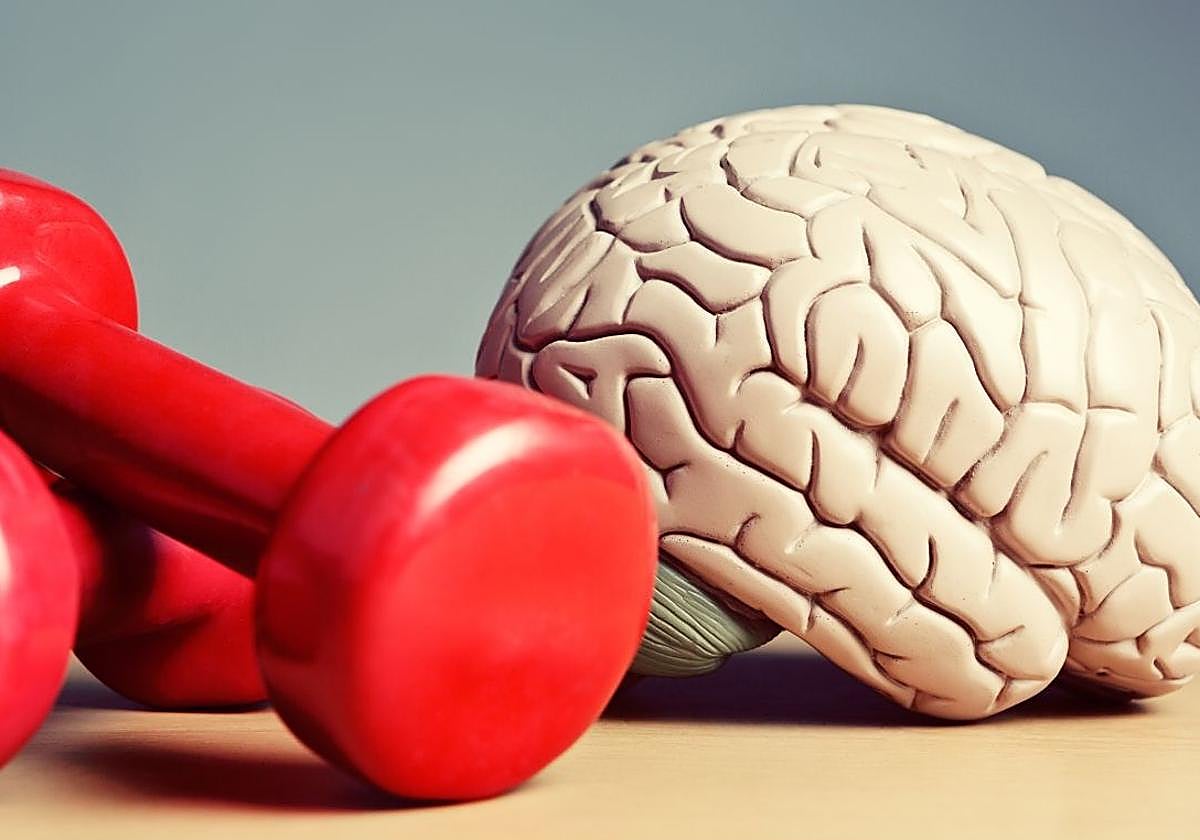 El cerebro no se va de vacaciones: los mejores consejos de los expertos para mantenerlo en forma durante el verano