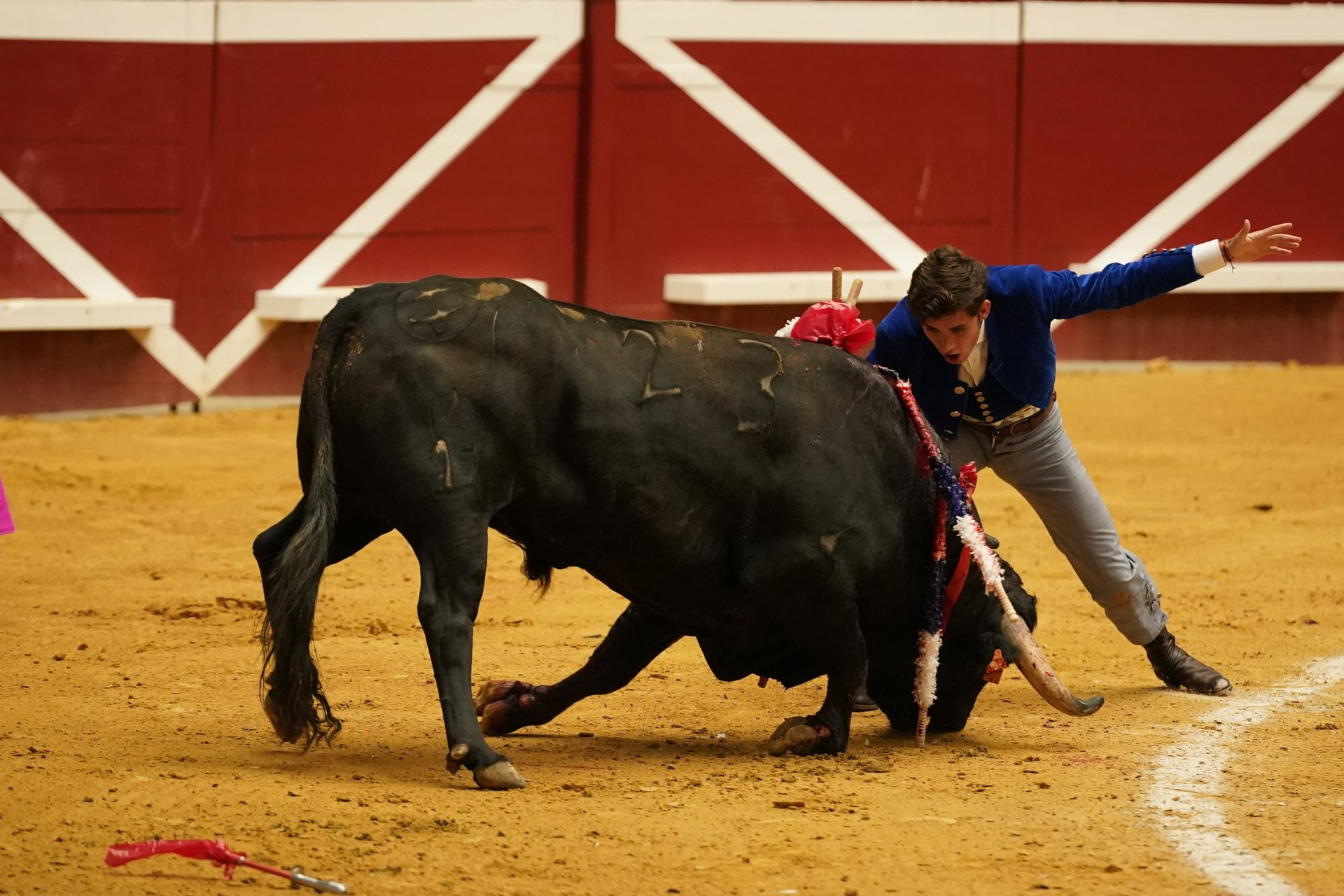 Tercera jornada de toros en Illunbe