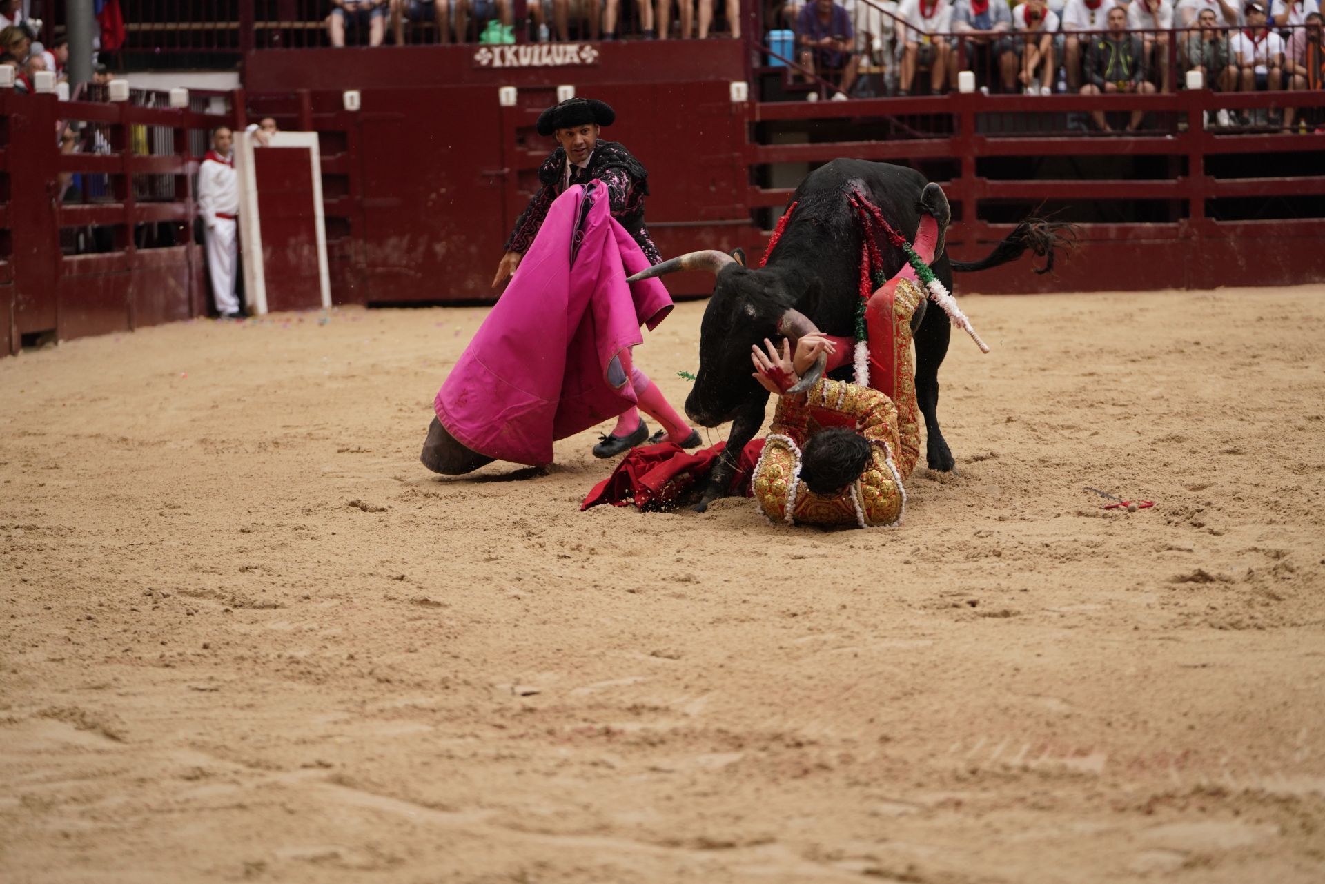 Novillada en el último día de San Roke