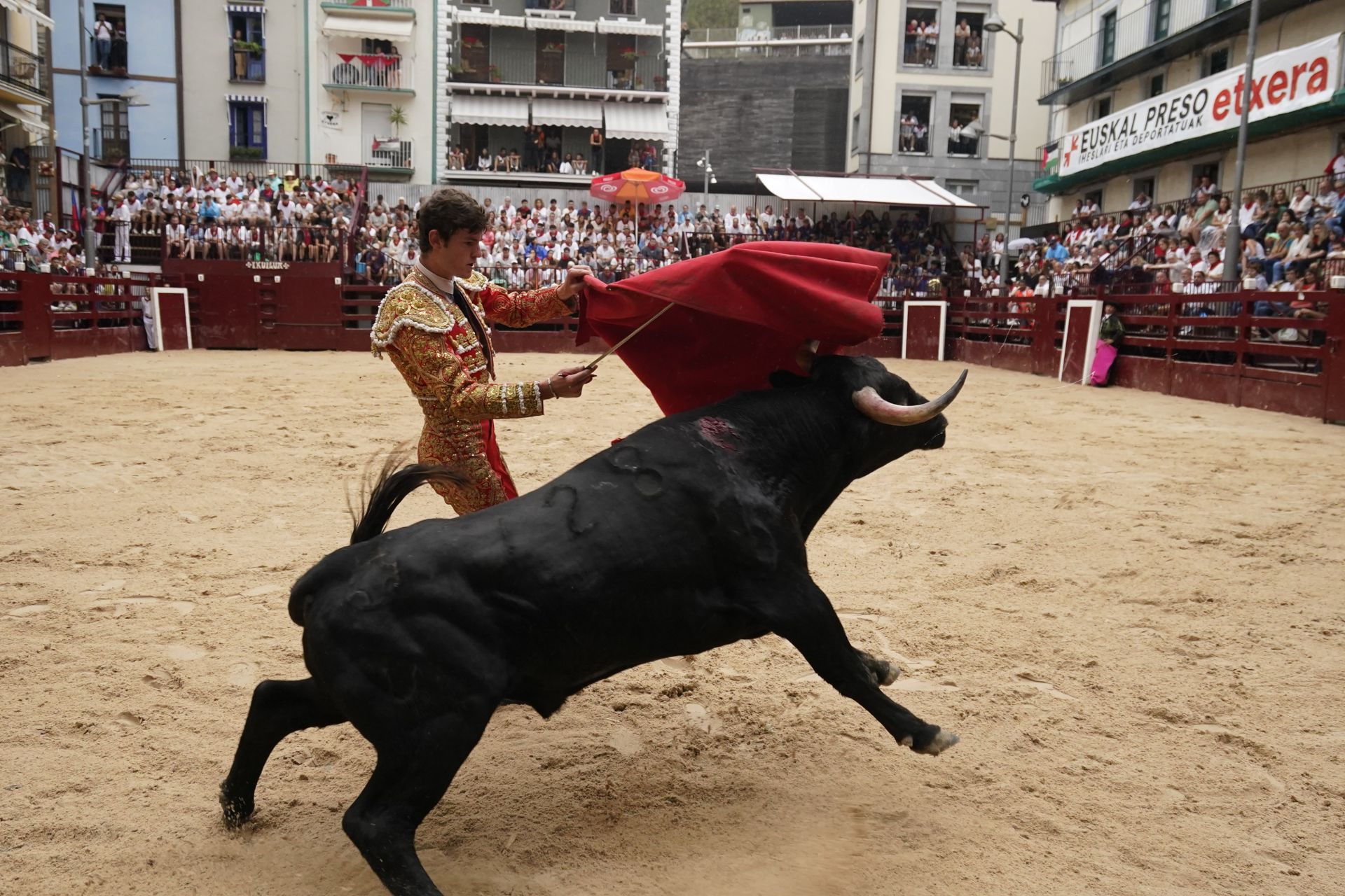 Novillada en el último día de San Roke