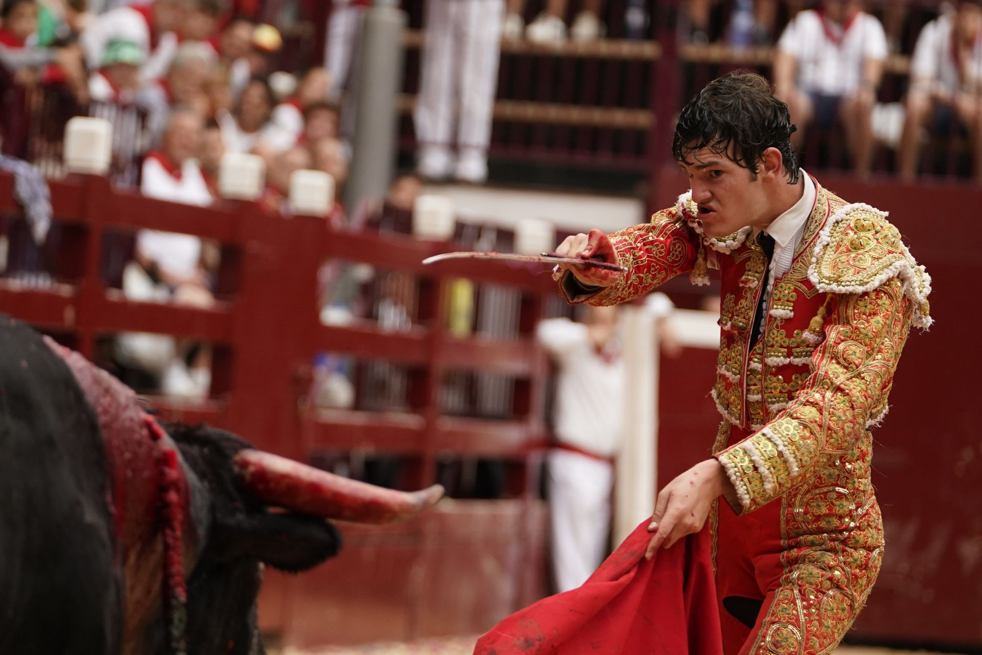 Novillada en el último día de San Roke