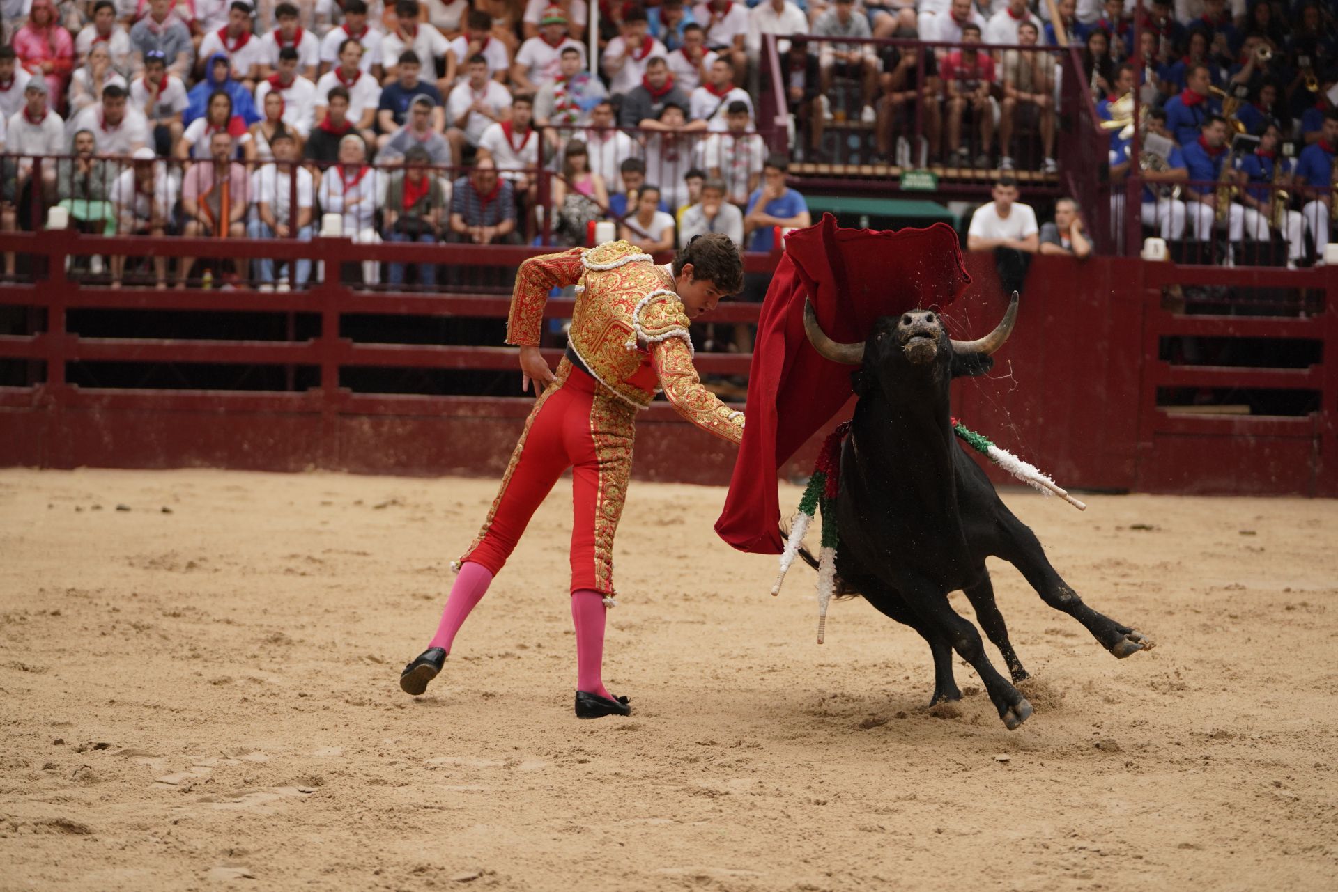 Novillada en el último día de San Roke