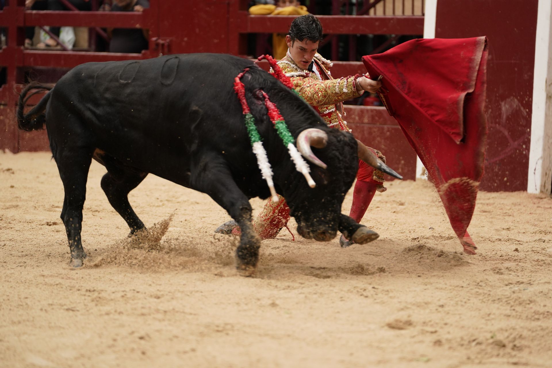 Novillada en el último día de San Roke