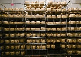 Visita a la quesería Ondramuño en Idiazabal