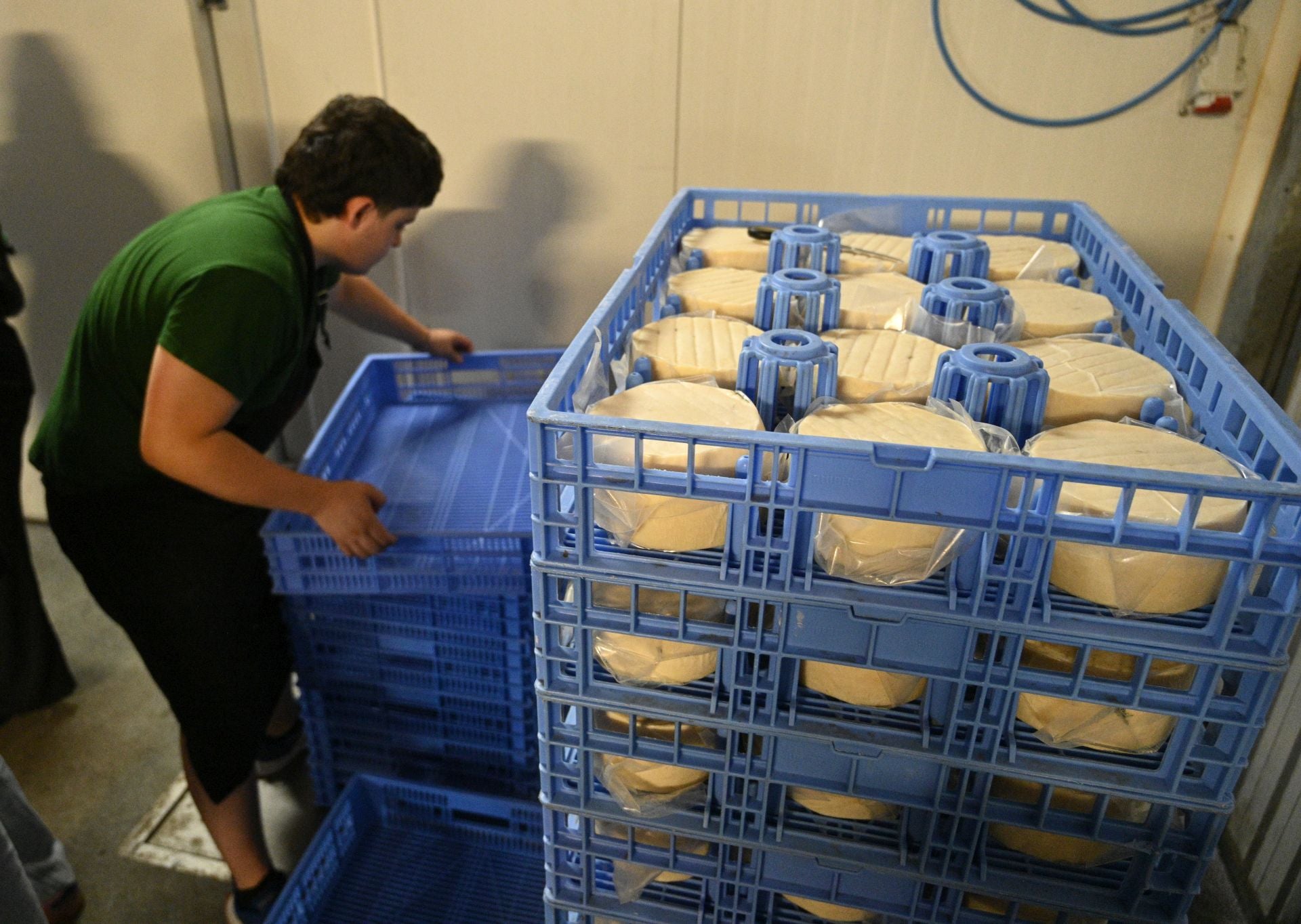 Visita a la quesería Ondramuño en Idiazabal