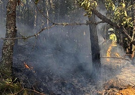Uno de los bomberos voluntarios de Gipuzkoa lucha contra el fuego en el foco de Yeres, en León.