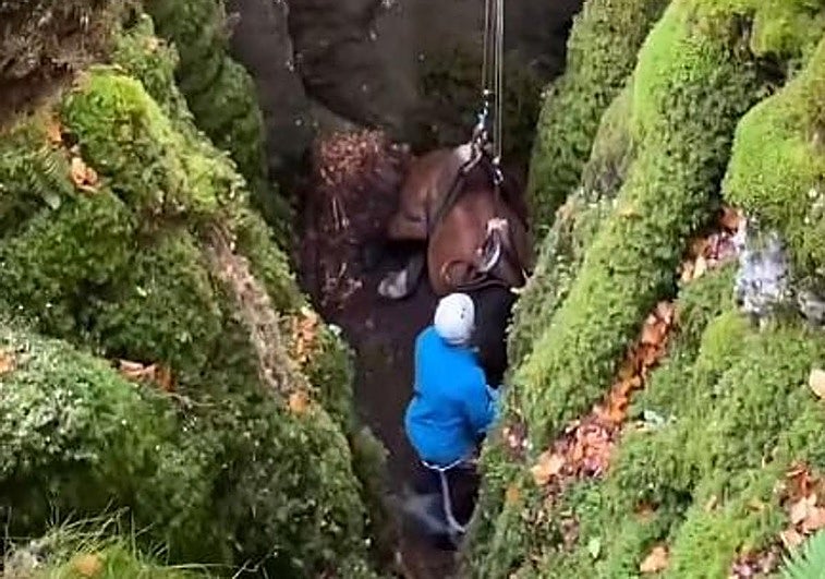 Espectacular rescate de un caballo de una sima en Aitzgorri
