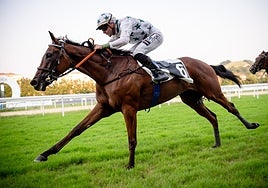 'Arzua', vencedor del Critérium con la monta de Janácek.