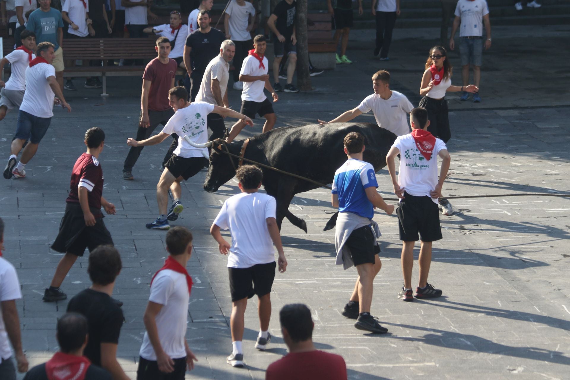 Elgoibar celebra su Txiki Eguna por todo lo alto