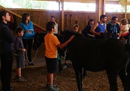 Imagen de una de las pasadas sesiones.