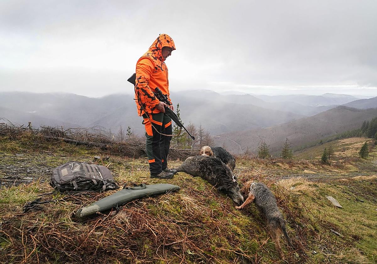 Un cazador observa junto a sus dos perros el jabalí neutralizado en una batida realizada este febrero en Berastegi.
