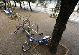 Señala Purificación: «Qué triste que las personas dejen por ahí tiradas de mala manera las bicis de Dbizi. Soy una usuaria de este servicio y siempre intento dejarlas lo mejor posible para ver que luego la gente no tiene cuidado con ellas. Ojalá todos cuidasen de lo ajeno como cuidan de lo suyo».