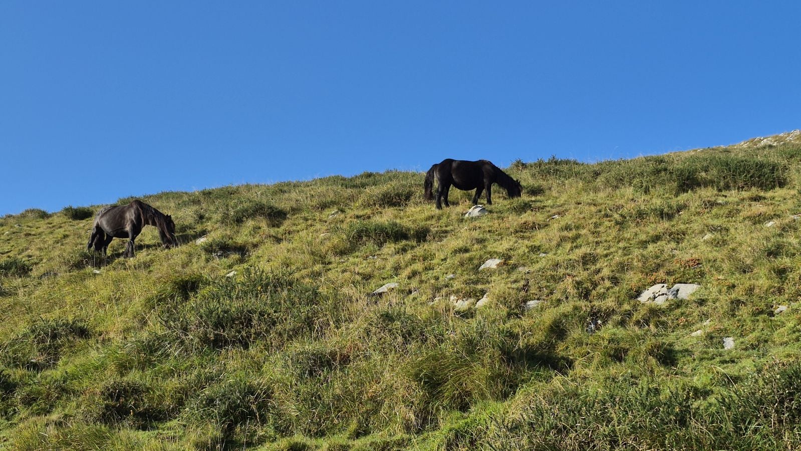 Hernio, panorámica perfecta de los montes de Gipuzkoa