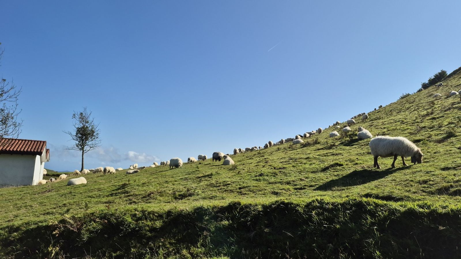 Hernio, panorámica perfecta de los montes de Gipuzkoa