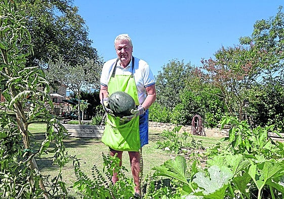 Toshack recoge una de las sandías en la huerta en la que pasa largas horas.