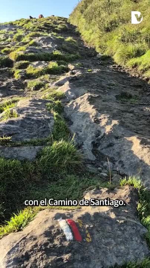 Hernio suena a fandango y arin arin.⁣