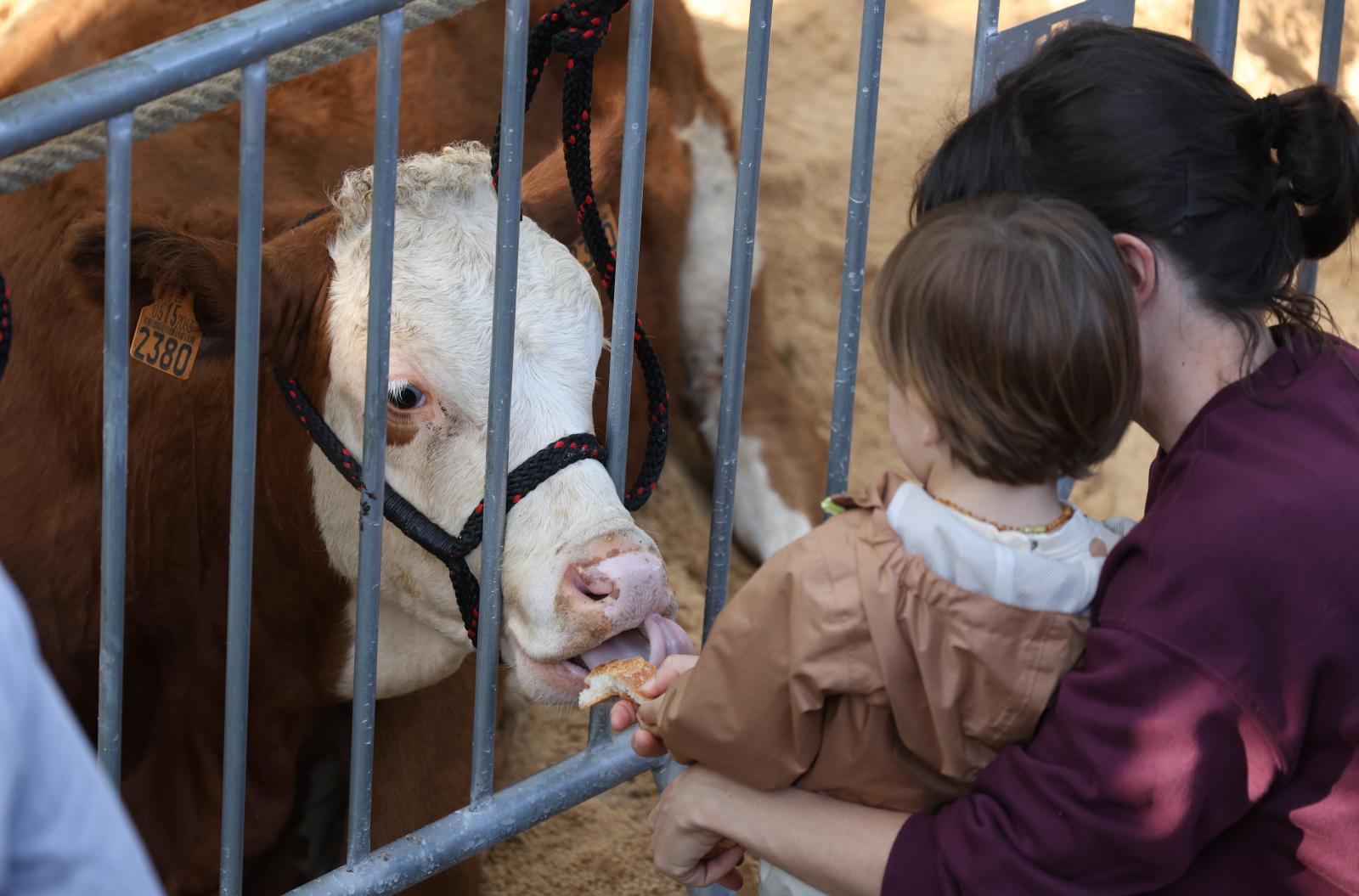Gran ambiente en el Baserritar Eguna de Hondarribia