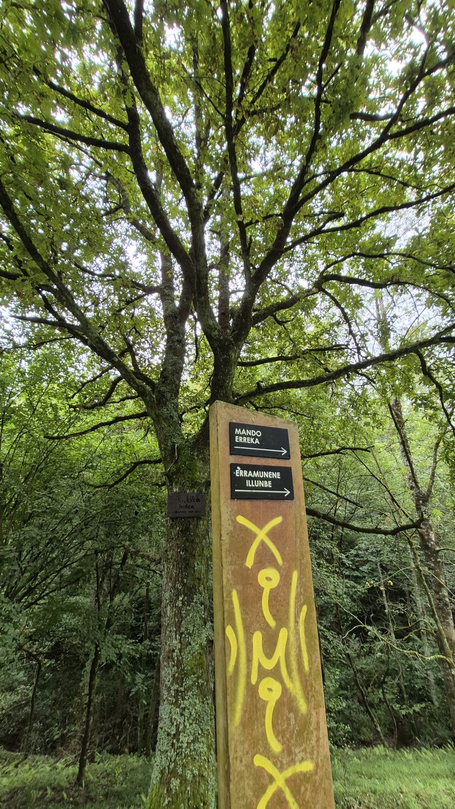 Un paseo de tres horas por Oriamendi