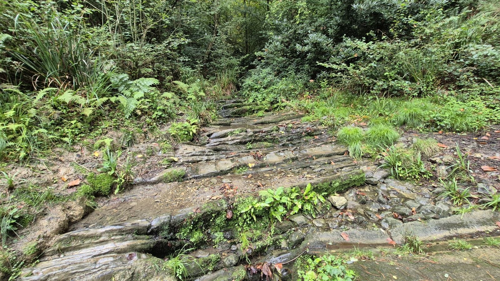 Un paseo de tres horas por Oriamendi