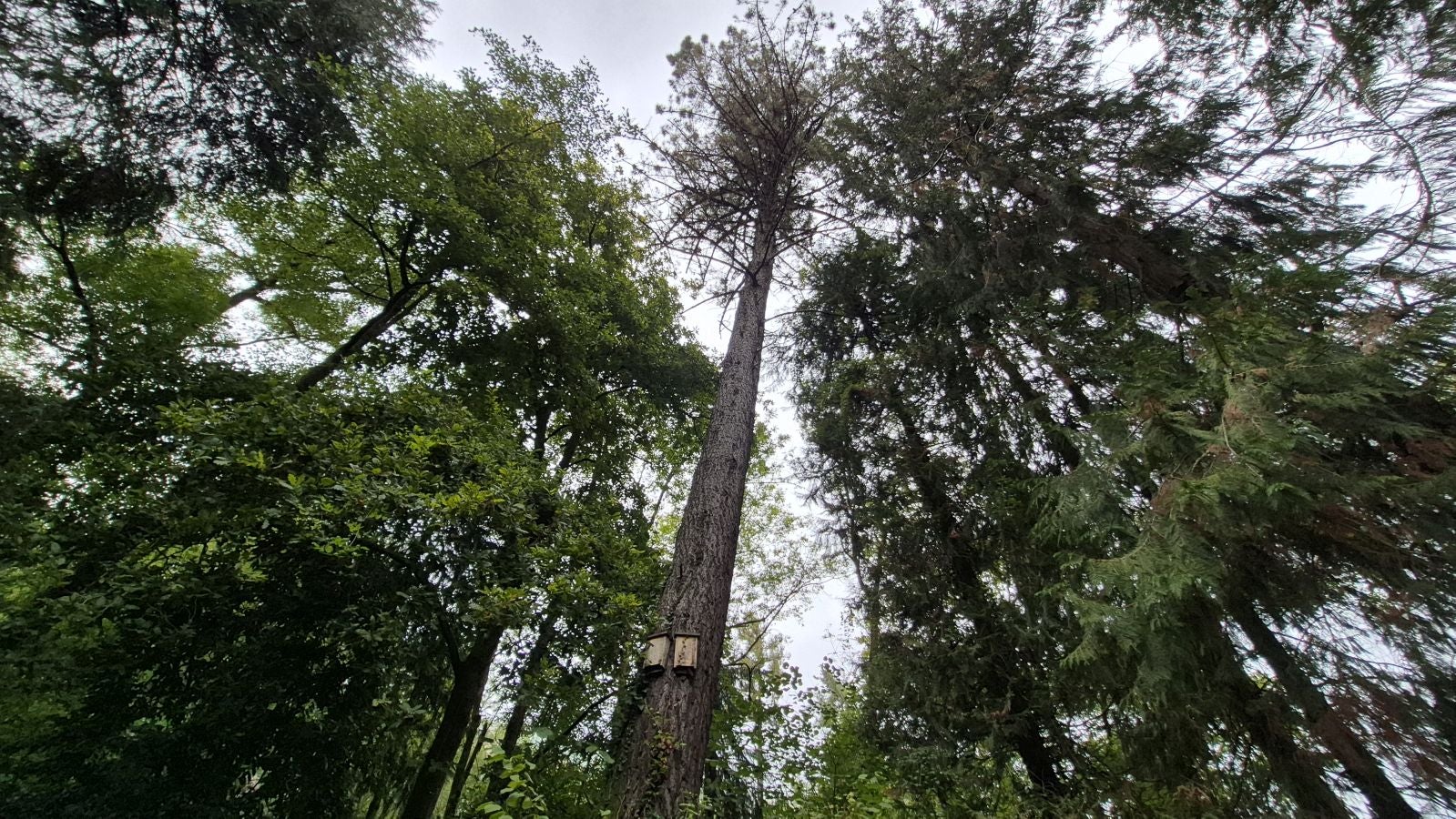 Un paseo de tres horas por Oriamendi