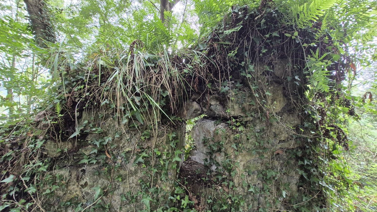Un paseo de tres horas por Oriamendi