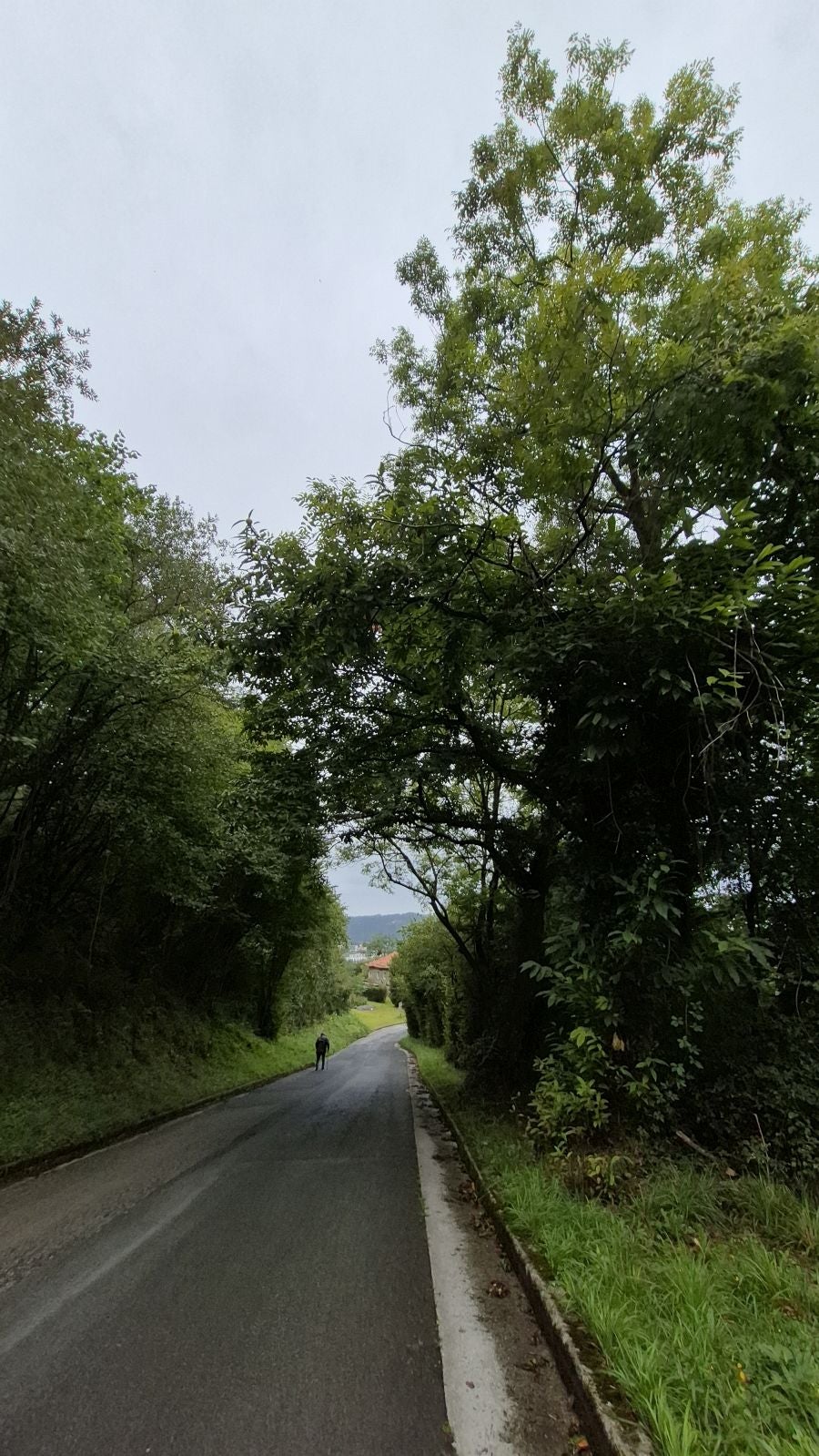 Un paseo de tres horas por Oriamendi